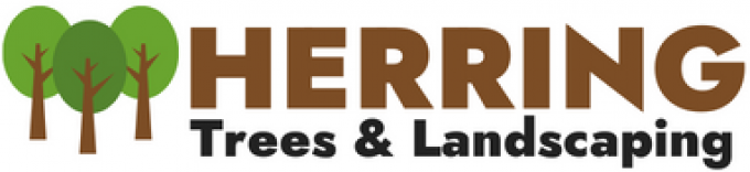 Herring Trees and Landscaping
